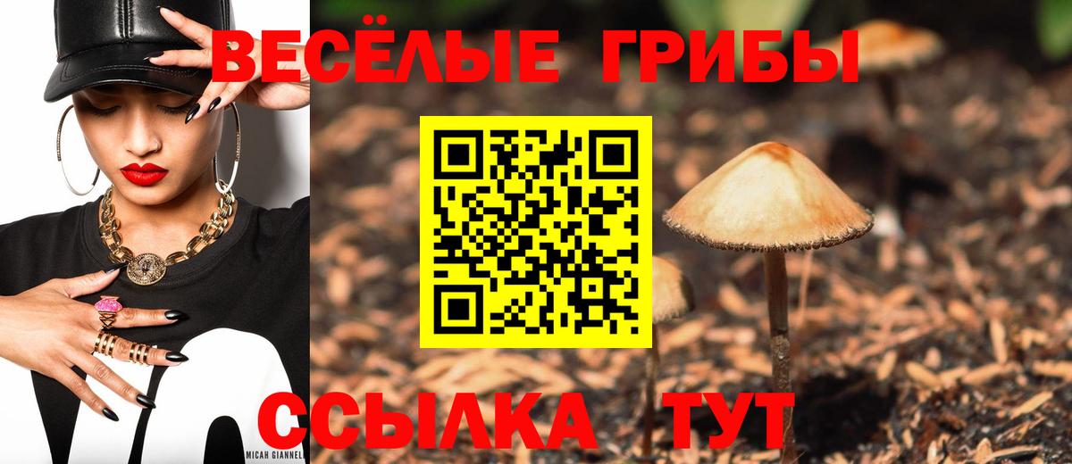 Псилоцибиновые грибы Psilocybe  Галлюциногенные грибы прущие грибы  Корсаков  Вход с VPN 