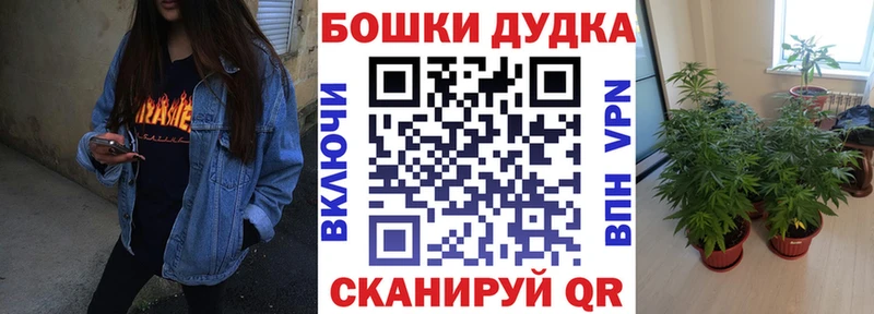 где купить   Корсаков  Каннабис Ganja 